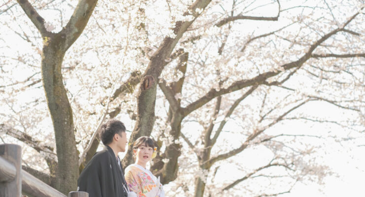 氷川神社×桜 フォトウエディングプラン